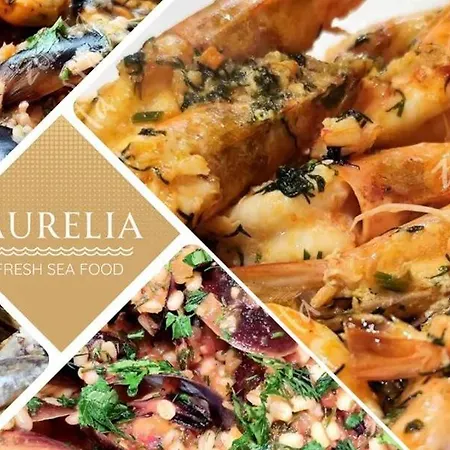 Aurelia Complex 3* 拉夫达